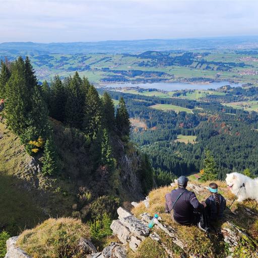 Blick auf den Grüntensee