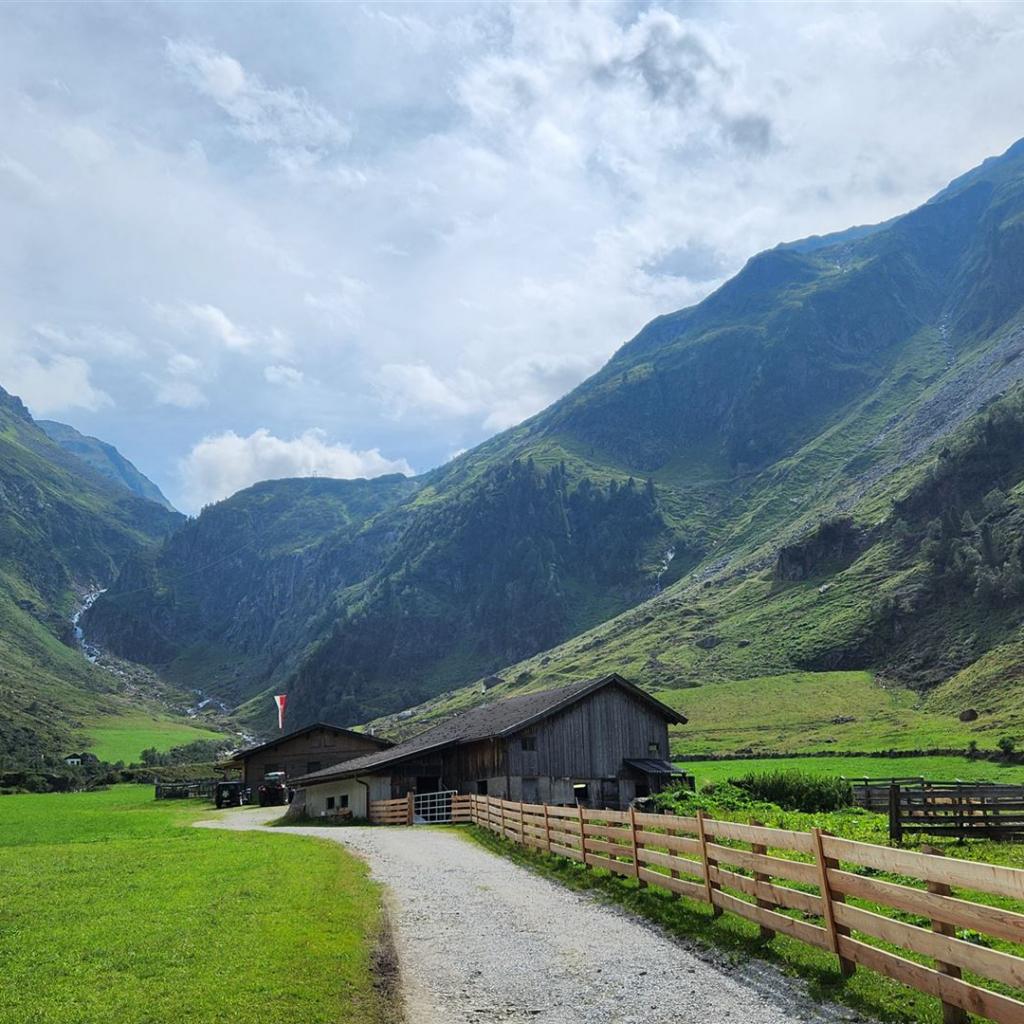 Blick über die B’suchalm auf den Serpentinensteig zur Nürnberger Hütte