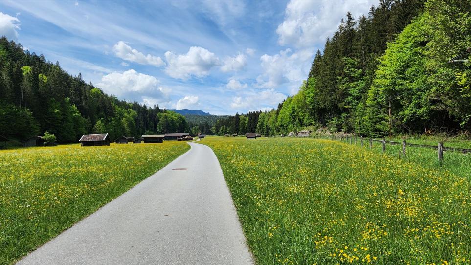 Radweg hinter Obergrainau