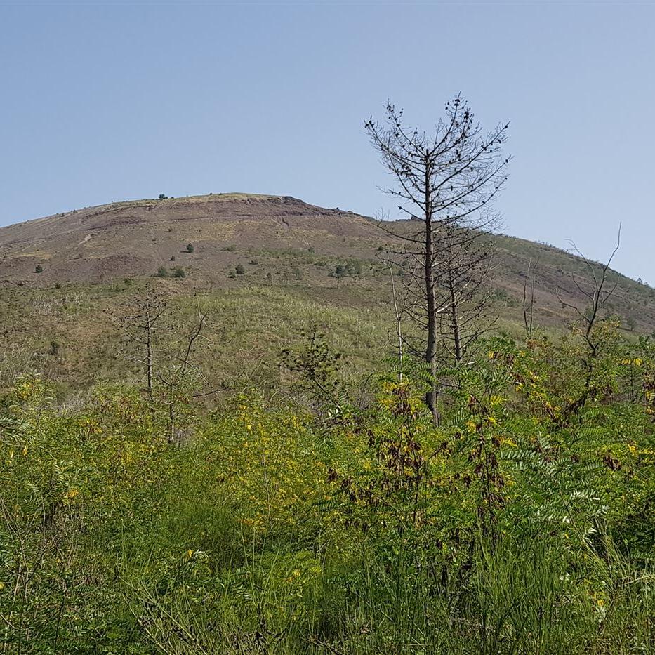 Der Vesuv-Gipfel mit dem Krater lässt sich nur erahnen