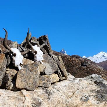 Auf dem Weg von Thame nach Maralung