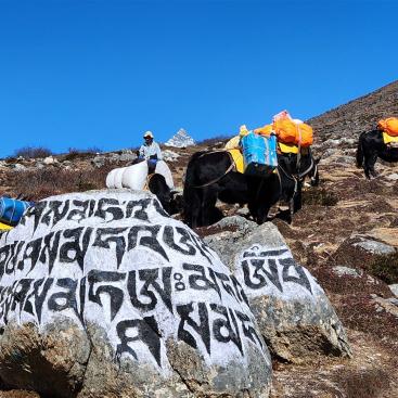 Auf dem Weg von Maralung nach Lungden